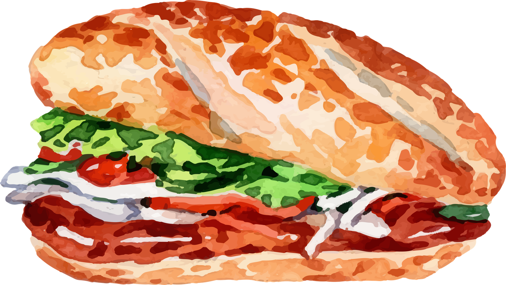 Minh họa bánh mì Việt Nam